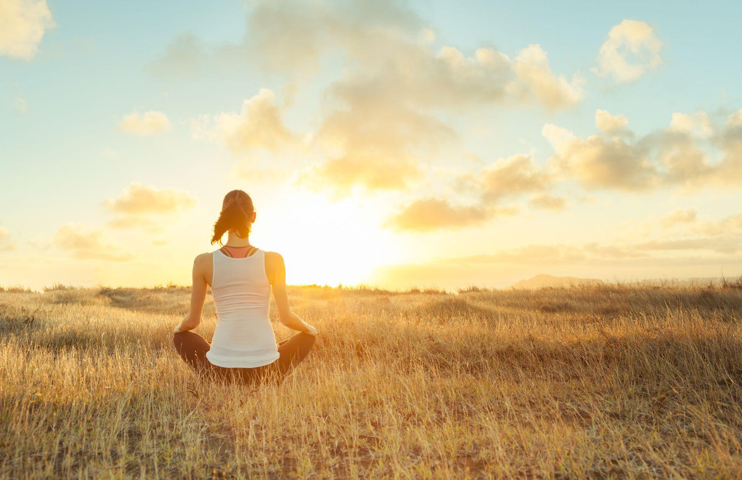 A YEAR TO RETRAIN MY MIND