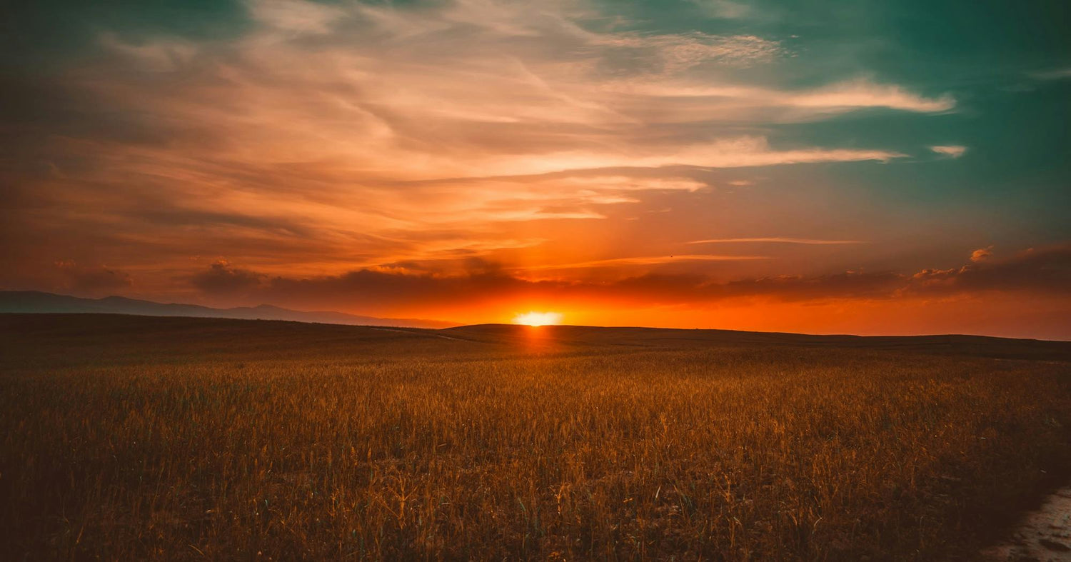 ANOTHER TRIP AROUND THE SUN... AND WHAT I'VE LEARNED